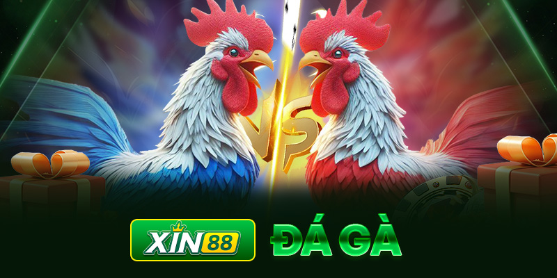 Lô Đề 555: Cách Chơi, Bet, Cầu Lô và Các Nhà Cái Uy Tín